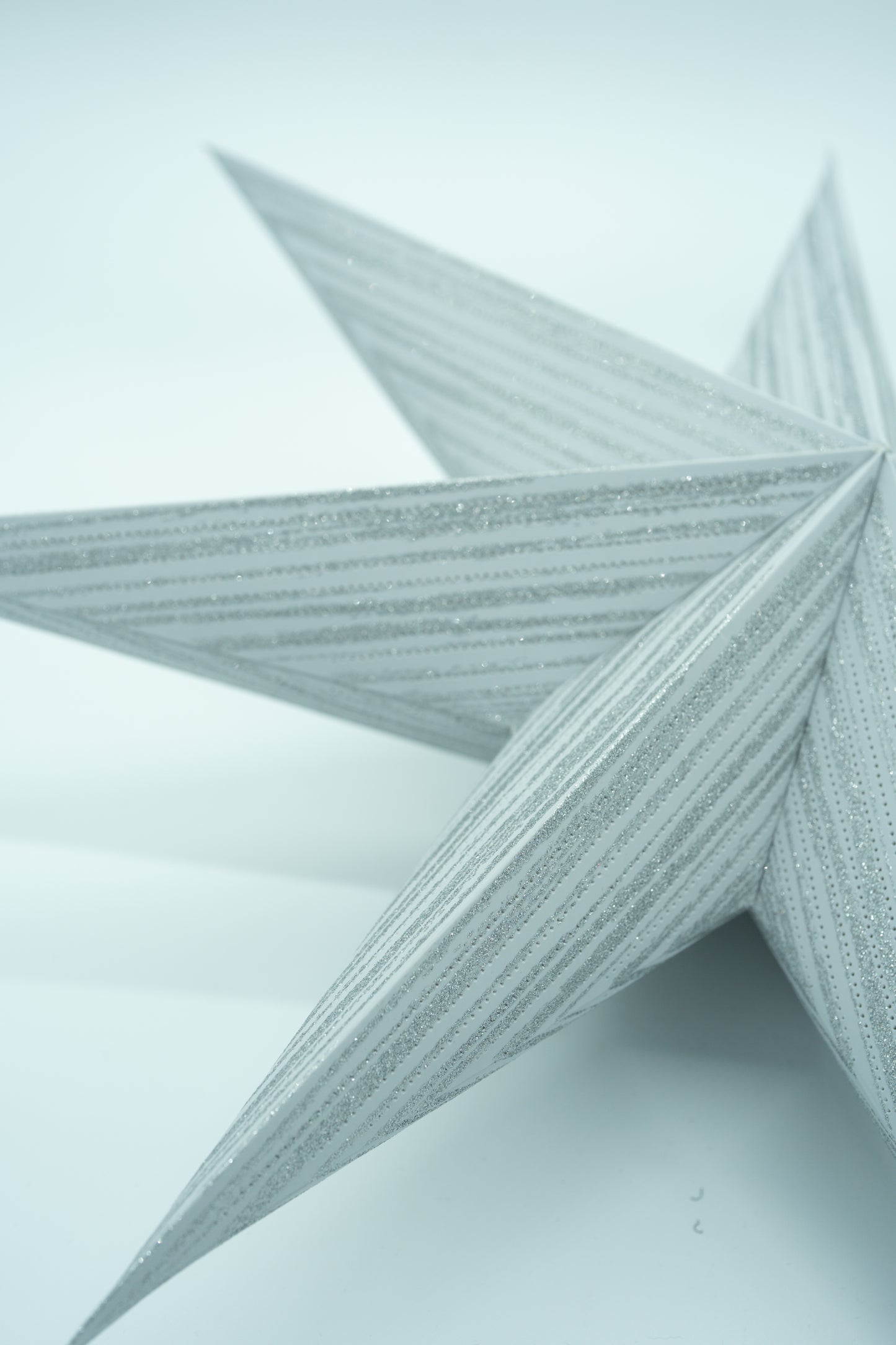 Weihnachtsstern Silber/weiß