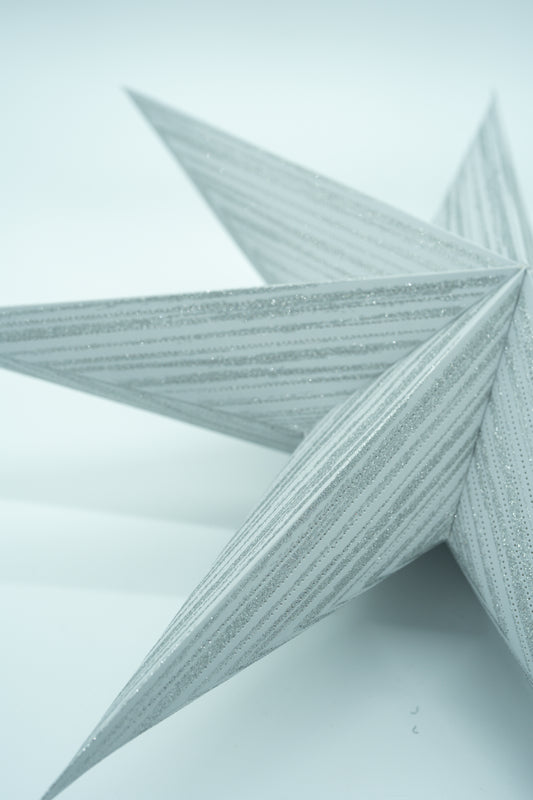 Weihnachtsstern Silber/weiß