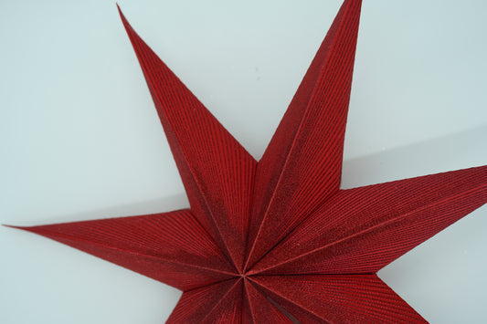 roter Weihnachtsstern