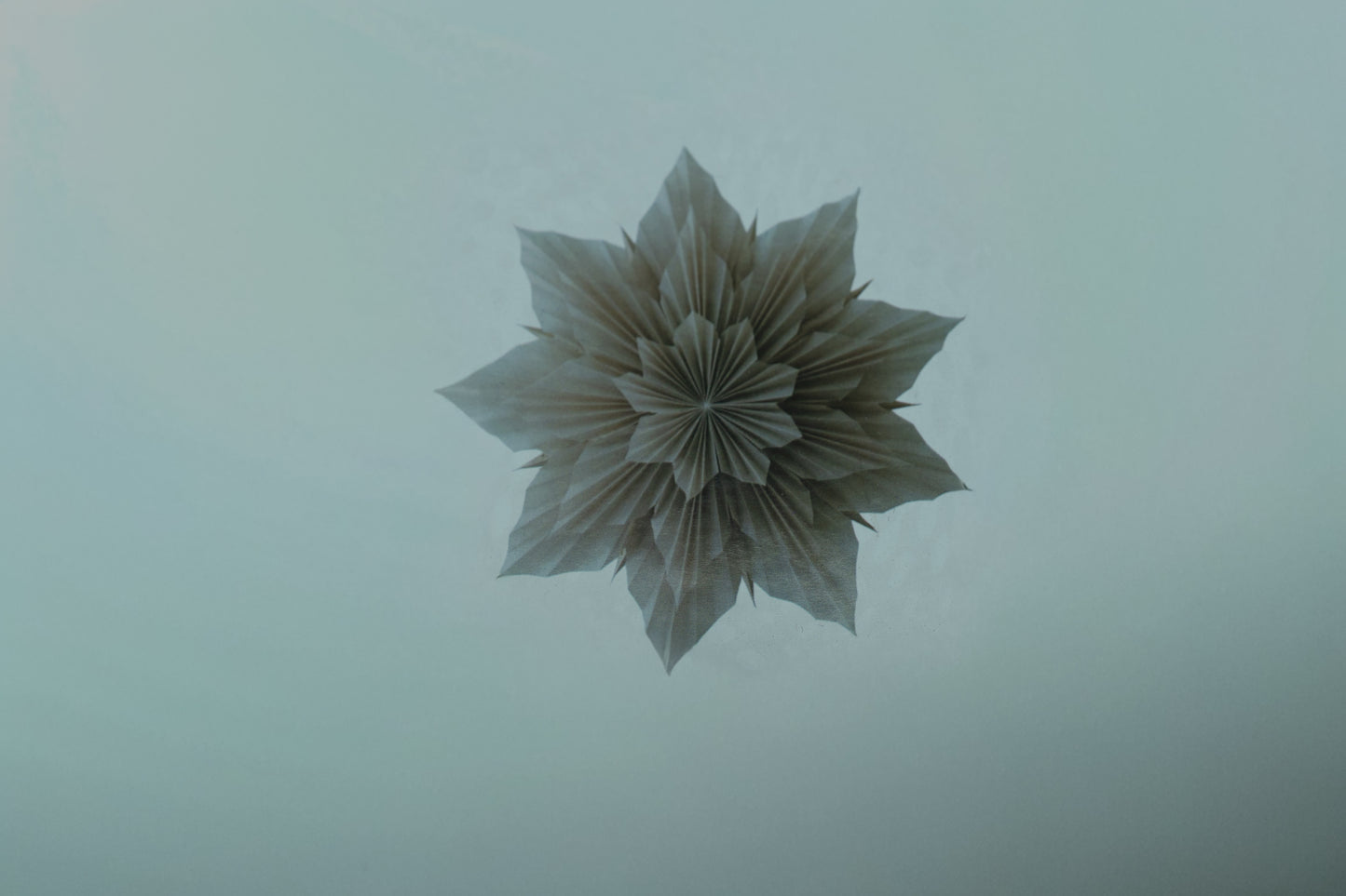 Blumenstern Taupe Large