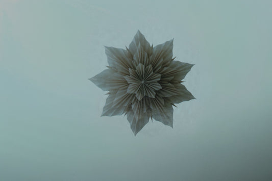 Blumenstern Taupe Large